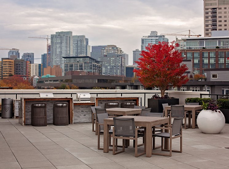 Rooftop Deck At Clarendon Apartments in Seattle, WA